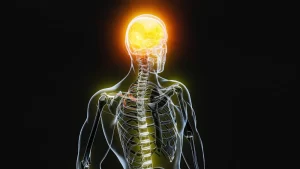 Read more about the article Navigating the Mind: Insights from a Seasoned Psychologist
